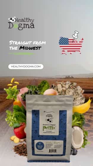 Healthy Dogma V2.0 (FINAL) (Mobile Video) (13)